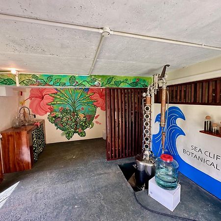 Sea Cliff Eco-Cottages & Gin Distillery Calibishie Dış mekan fotoğraf